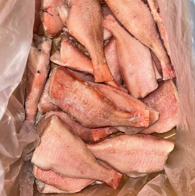 ��������