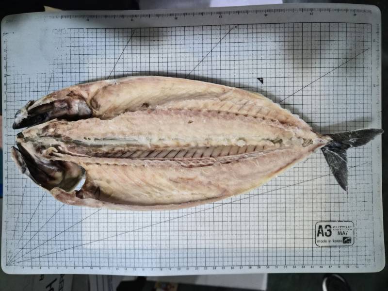 ������ʷ� 500g up