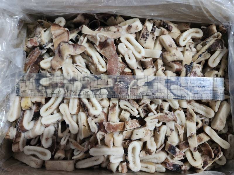 ��¡� ��Ż��