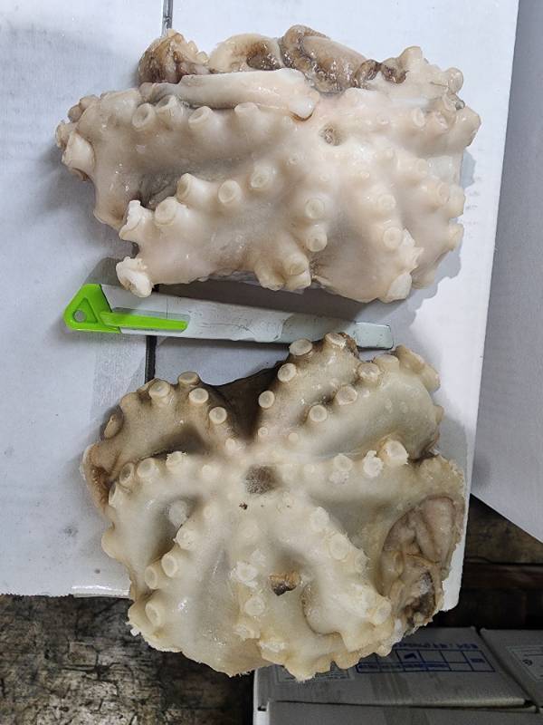 �޲ٹ� 1��Ų A��