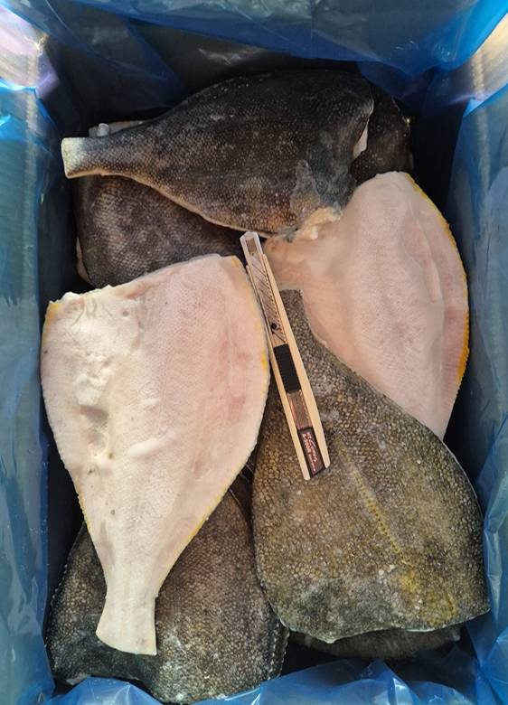 �������ڹ�