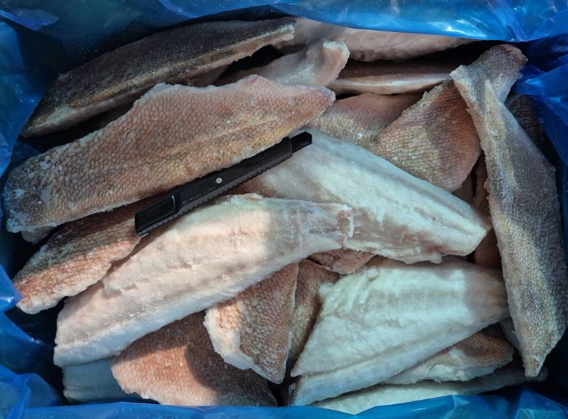 �����幮���� �ʷ�