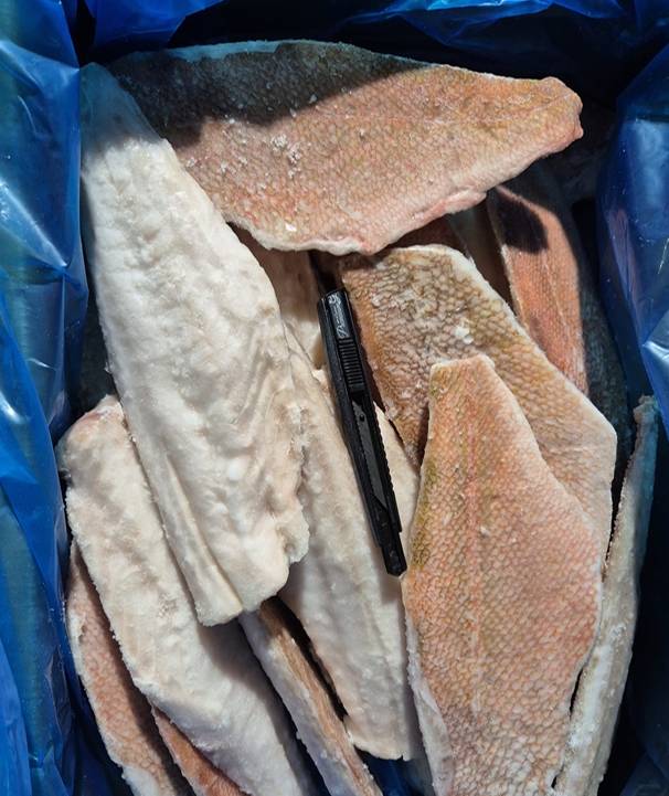 �����幮���� �ʷ�