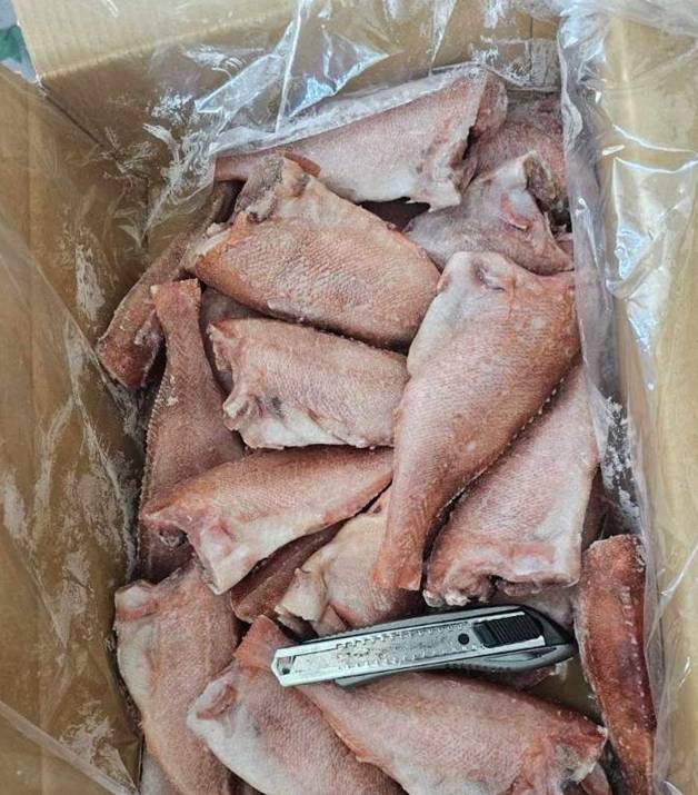 ���� ����